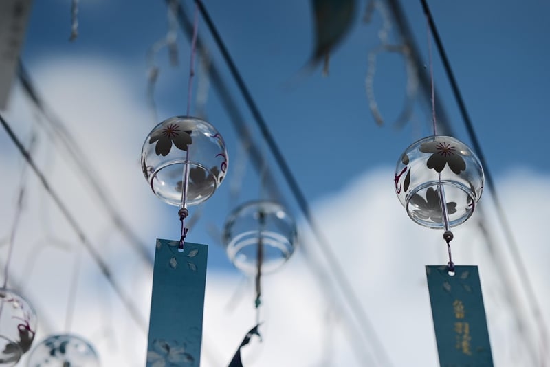 Hanging Terrariums